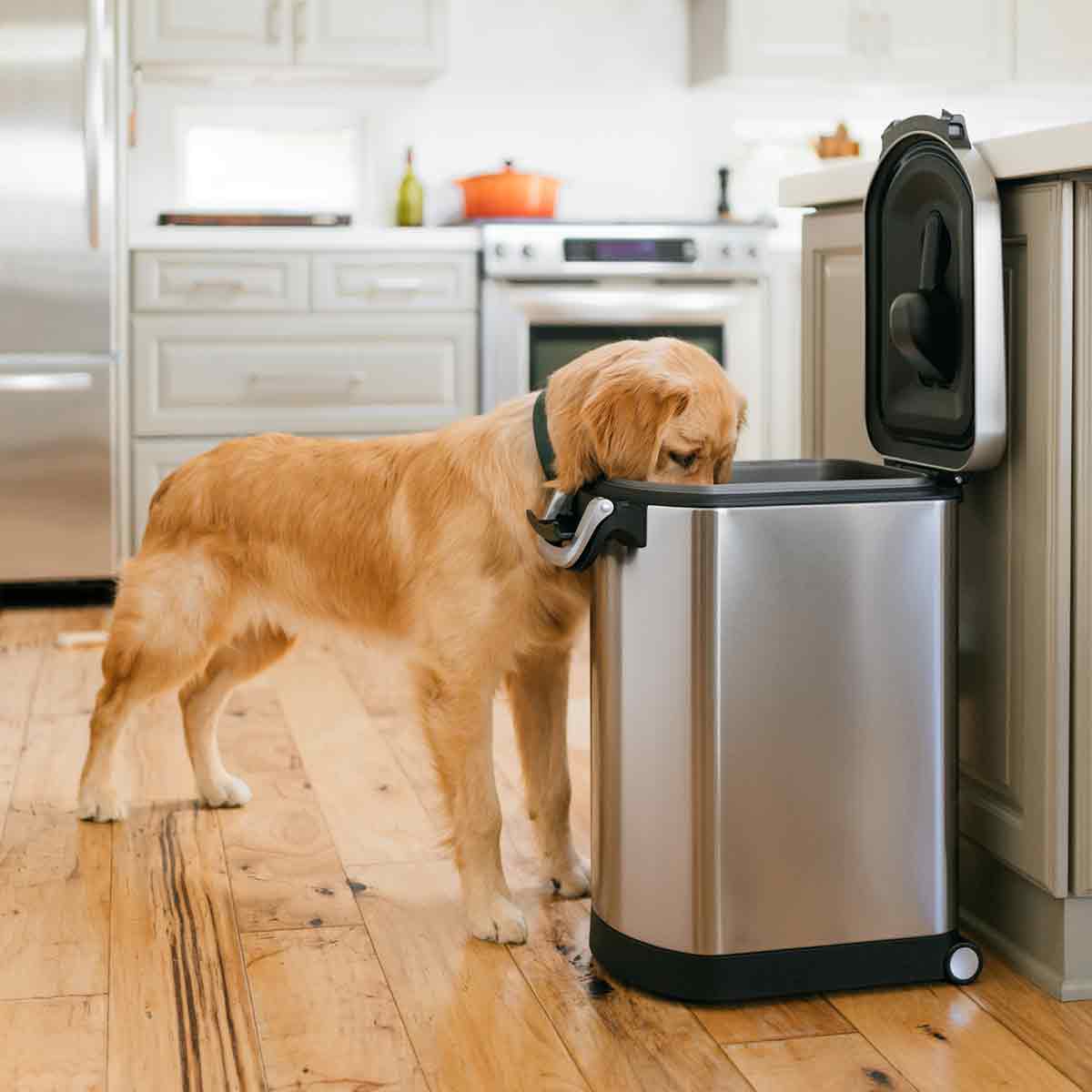 Large, Pet Food Bin - Image 6