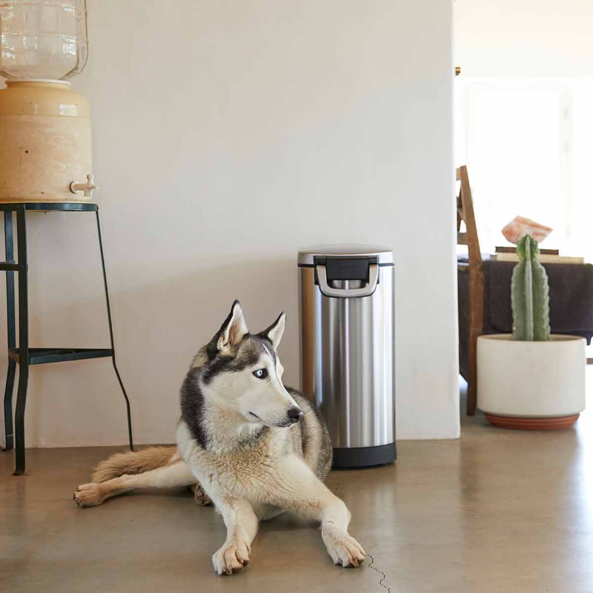 Large, Pet Food Bin - Image 7